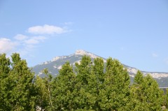 Img_0631 * 3072 x 2048 * (1.84MB)