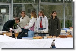 Img_8680+ * 1536 x 1024 * (375KB)